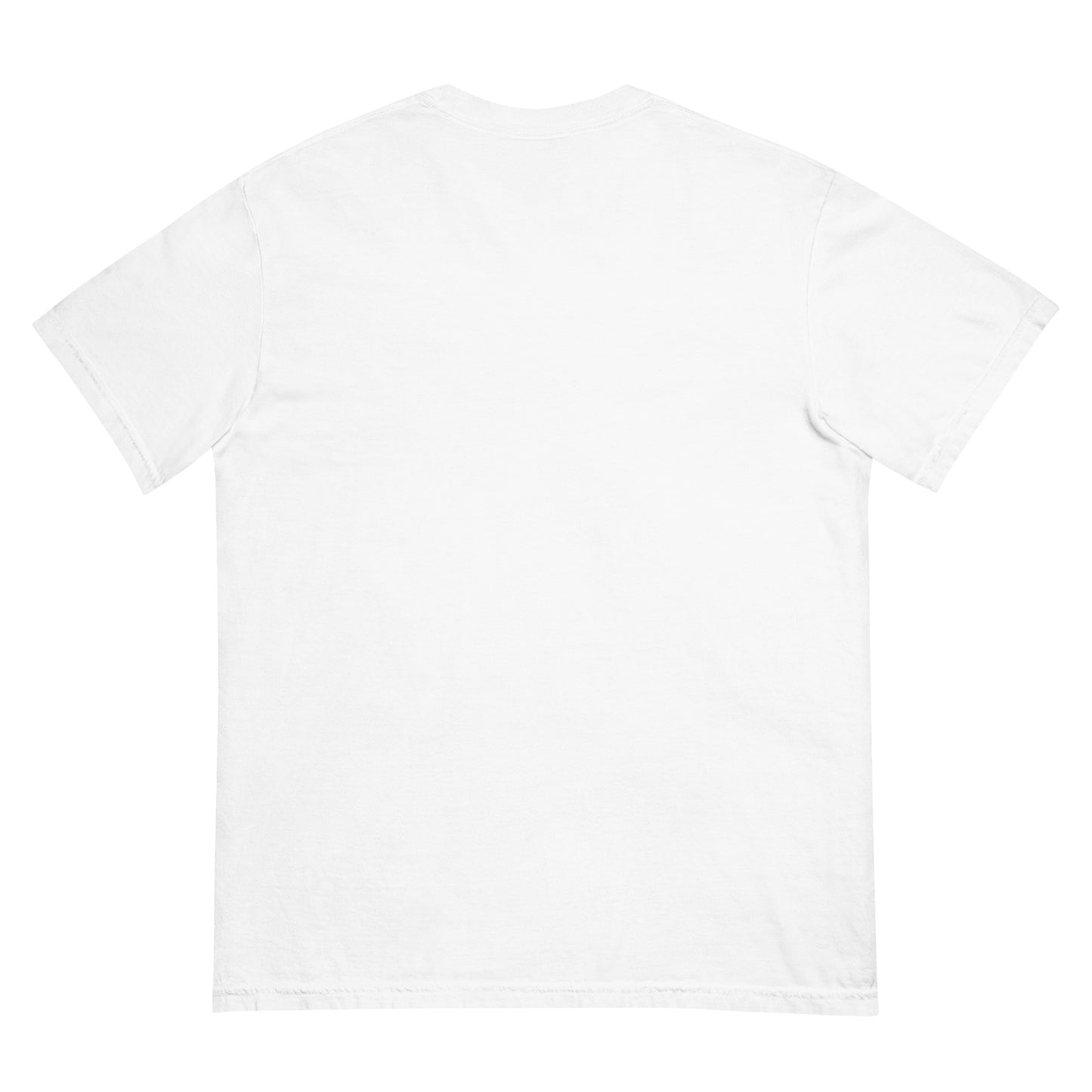 heavyweight t-shirt